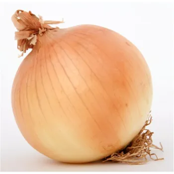 Onion (21)-4357479-13198.webp